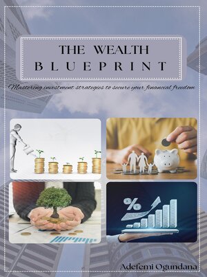 cover image of THE WEALTH BLUE PRINT